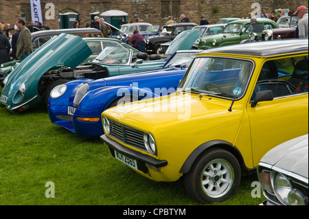 Lineup della moderna British classic cars sul display a marche Trasporti Festival esposizione di vintage e classic cars in mostra a molla di Ludlow Food Festival Foto Stock