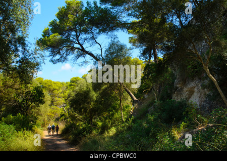 Walkers sul Cami de Cavalls sentiero costiero vicino a Cala Galdana a Minorca nelle Isole Baleari, Spagna Foto Stock