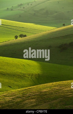 South Downs National Park in East Sussex, Inghilterra. Foto Stock