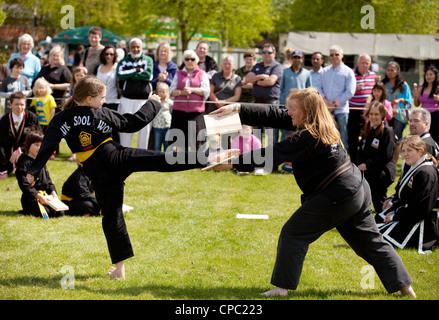 Una giovane ragazza la rottura di un pezzo di legno con un calcio alto facendo Kuk Sool ha vinto, coreano arti marziali, REGNO UNITO Foto Stock