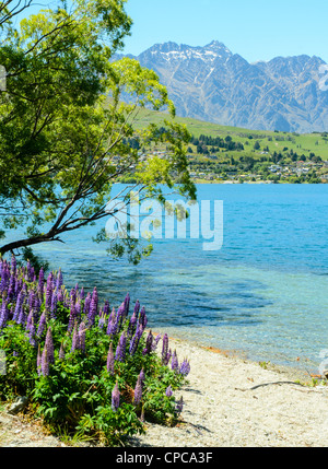 Sul lago Wakatipu e sulle cime del Remarkables vicino a Queenstown Isola del Sud della Nuova Zelanda Foto Stock