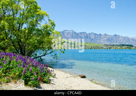 Sul lago Wakatipu e sulle cime del Remarkables vicino a Queenstown Isola del Sud della Nuova Zelanda Foto Stock