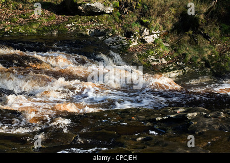 Il fiume Ribble forza Stainforth Stainforth Settle Yorkshire Dales Inghilterra Foto Stock