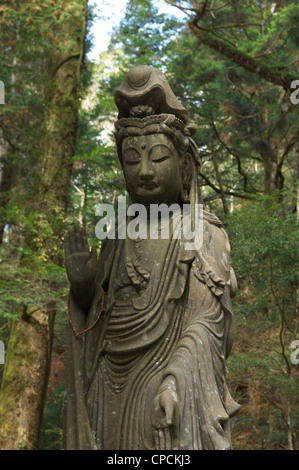 Okuno nel cimitero buddista, il più grande in Giappone. Koyasan, Honshu, Giappone Foto Stock