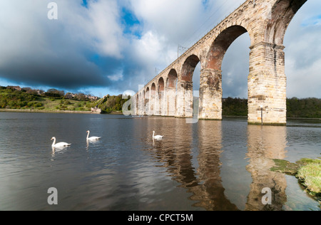 Il Royal Border ponte che attraversa il fiume Tweed a Berwick upon Tweed, questo ponte porta la principale East Coast Railway Foto Stock