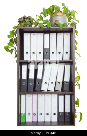 In un ufficio in legno cabinet è un sacco di cartelle con la vecchia carta importava i file di contabilità. Piante da interni in vasi sono in armadio Foto Stock