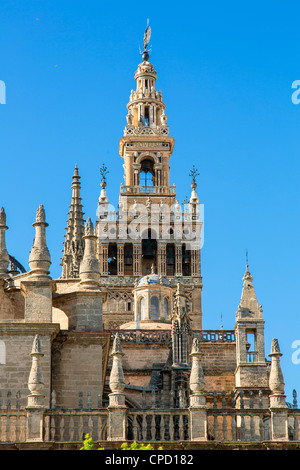 Spagna, Andalusia, Siviglia, La Giralda, la Cattedrale di Siviglia Foto Stock