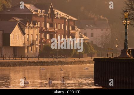 Exeter Quay, Exeter Devon, Inghilterra, Regno Unito, Europa Foto Stock