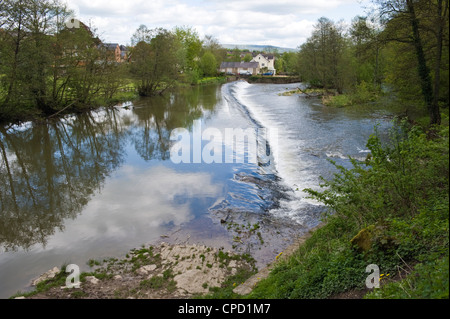 Weir sul fiume teme a Ludlow Shropshire England Regno Unito Foto Stock