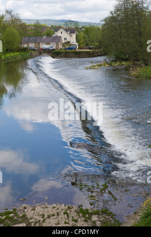 Weir sul fiume teme a Ludlow Shropshire England Regno Unito Foto Stock