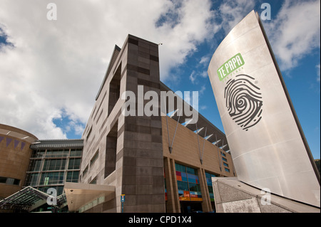 Il Te Papa Museum di Wellington, Isola del nord, Nuova Zelanda, Pacific Foto Stock