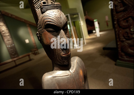 Otago Museum, Dunedin, South Island, in Nuova Zelanda, Pacific Foto Stock