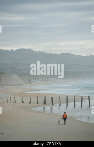 Porto di Otago, St. Clair, Otago, South Island, in Nuova Zelanda, Pacific Foto Stock