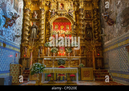 Europa Spagna Andalusia, Sevilla, Convento di Santa María de Jesús Foto Stock