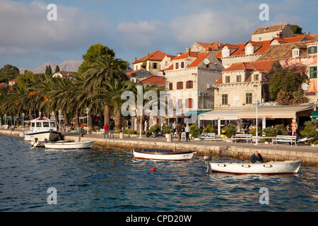 Imbarcazioni di pesca artigianale e Waterfront, CAVTAT, Dalmazia, Croazia, Europa Foto Stock