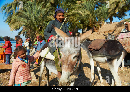 Ramadi village, Valle del Nilo tra Luxor e Aswan, Egitto, Africa Settentrionale, Africa Foto Stock