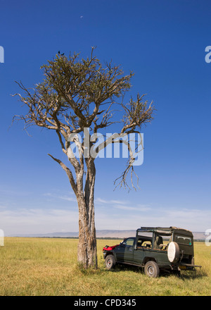 Un tranquillo pic-nic in stop il Masai Mara, Kenya, Africa orientale, Africa Foto Stock