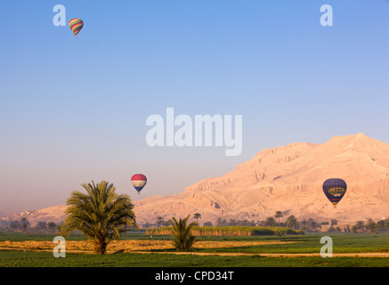 I palloni ad aria calda sospeso su campi verdi e palme vicino a Luxor, Tebe, Egitto, Africa Settentrionale, Africa Foto Stock