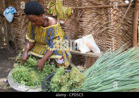 La medicina di erbe, Lomé, Togo, Africa occidentale, Africa Foto Stock