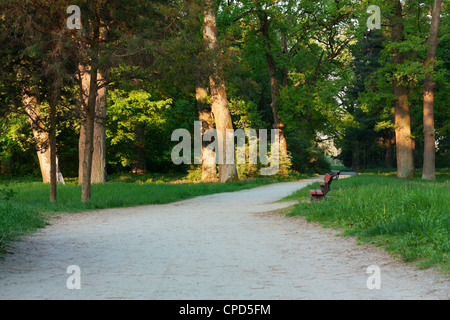 Cancellare l'aria nel parco la mattina Foto Stock