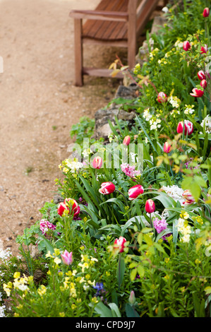 Miscelati letto di fiori in primavera a Painswick Giardino rococò, Gloucestershire, England, Regno Unito Foto Stock