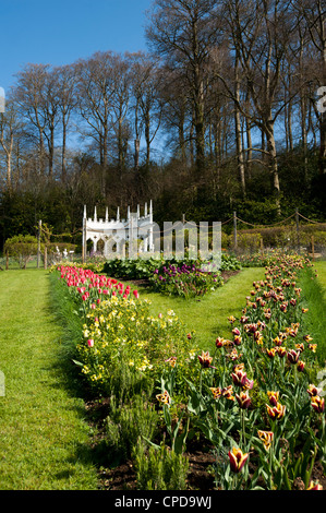 La molla a Painswick Giardino rococò, Gloucestershire, England, Regno Unito Foto Stock