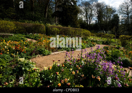 Painswick Giardino rococò in primavera, Gloucestershire, England, Regno Unito Foto Stock