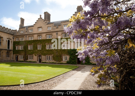 Sidney sussex college in primavera, Università di Cambridge Regno Unito Foto Stock