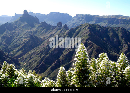 Vista di Roque Nublo vicino Tejeda, Gran Canaria, Isole Canarie, Spagna, Europa Foto Stock