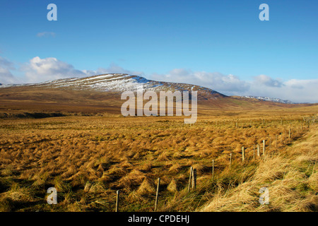 Ben Clach, vicino a Crieff, Perthshire Scozia, Regno Unito, Europa Foto Stock