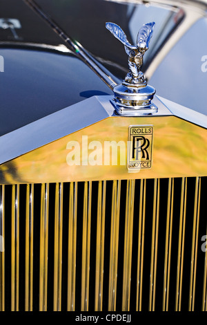 Clunes Australia / Vicino la vista frontale di un modello 1954 Rolls Royce Silver Dawn coupe. Foto Stock