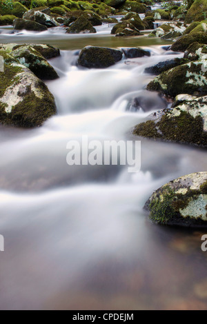 Fiume Teign, Parco Nazionale di Dartmoor, Devon, Inghilterra, Regno Unito, Europa Foto Stock