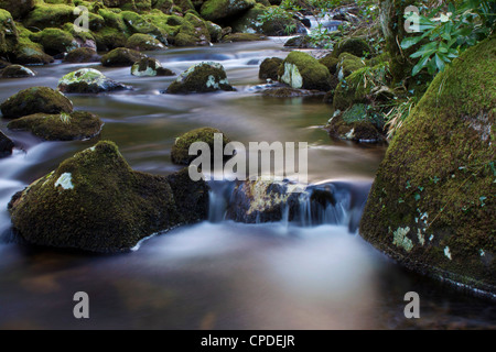 Fiume Teign, Parco Nazionale di Dartmoor, Devon, Inghilterra, Regno Unito, Europa Foto Stock