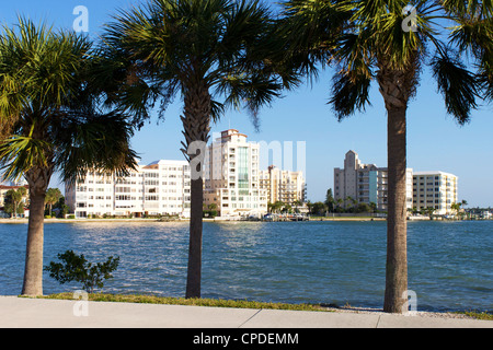 Sarasota, costa del Golfo della Florida, Stati Uniti d'America, America del Nord Foto Stock