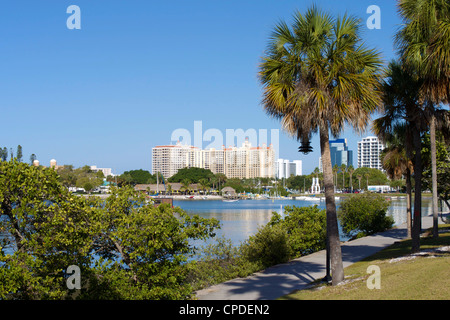 Sarasota, costa del Golfo della Florida, Stati Uniti d'America, America del Nord Foto Stock