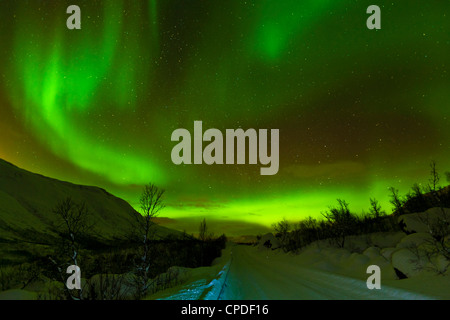 Aurora boreale (Northern Lights) visto su una coperta di neve road, Troms, Norvegia settentrionale, Scandinavia, Europa Foto Stock