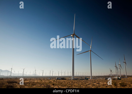 Grandi turbine eoliche appena al di fuori del Mojave, California, Stati Uniti d'America, America del Nord Foto Stock