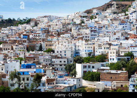 Vista della città, Chefchaouen (Chaouen), Regione Tangeri-Tetouan, Rif Mountains, Marocco, Africa Settentrionale, Africa Foto Stock