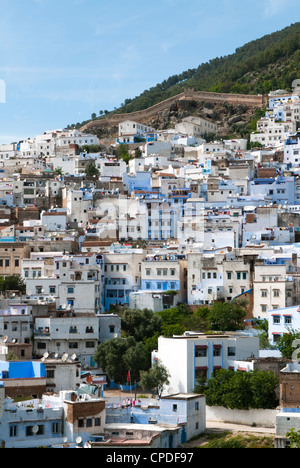 Vista della città, Chefchaouen (Chaouen), Regione Tangeri-Tetouan, Rif Mountains, Marocco, Africa Settentrionale, Africa Foto Stock