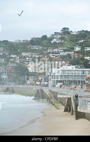 Porto di Otago, St. Clair, Otago, South Island, in Nuova Zelanda, Pacific Foto Stock