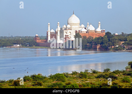 Taj Mahal, Sito Patrimonio Mondiale dell'UNESCO, attraverso la Jumna Yamuna (Fiume), Agra, nello stato di Uttar Pradesh, India, Asia Foto Stock