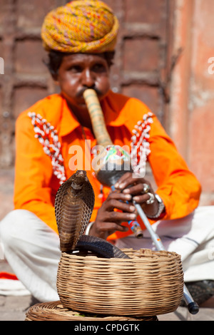 Cobra snake incantatore al di fuori del palazzo di città, Jaipur, Rajasthan, India, Asia Foto Stock