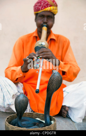 Cobra snake incantatore al di fuori del palazzo di città, Jaipur, Rajasthan, India, Asia Foto Stock