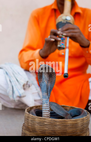 Cobra snake incantatore al di fuori del palazzo di città, Jaipur, Rajasthan, India, Asia Foto Stock