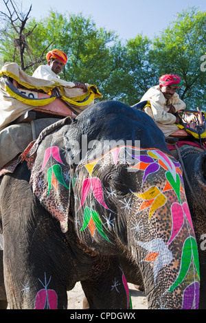 Il cerimoniale dipinto di elefante al Forte Amber vicino a Jaipur, Rajasthan, India, Asia Foto Stock