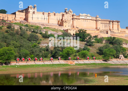 Gli elefanti di prendere i turisti per la Forte Amber vicino a Jaipur, Rajasthan, India, Asia Foto Stock