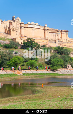 Gli elefanti di prendere i turisti per la Forte Amber vicino a Jaipur, Rajasthan, India, Asia Foto Stock