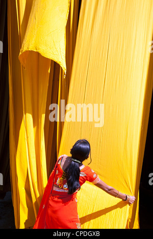 Donna in sari per controllare la qualità di fresco tessuto tinto appesi ad asciugare, Sari fabbrica di indumento, Rajasthan, India, Asia Foto Stock