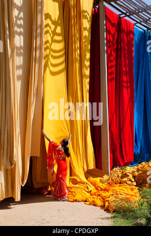 Donna in sari per controllare la qualità di fresco tessuto tinto appesi ad asciugare, Sari fabbrica di indumento, Rajasthan, India, Asia Foto Stock