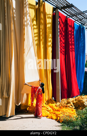 Donna in sari per controllare la qualità di fresco tessuto tinto appesi ad asciugare, Sari fabbrica di indumento, Rajasthan, India, Asia Foto Stock